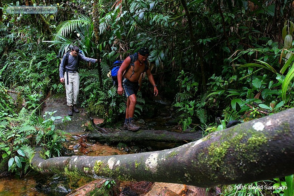 Parque Nacional Canaima
Subida al Roraima
Bolivar