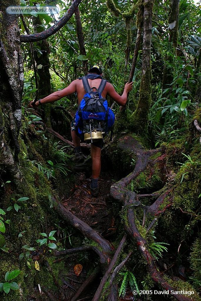 Parque Nacional Canaima
Subida al Roraima
Bolivar