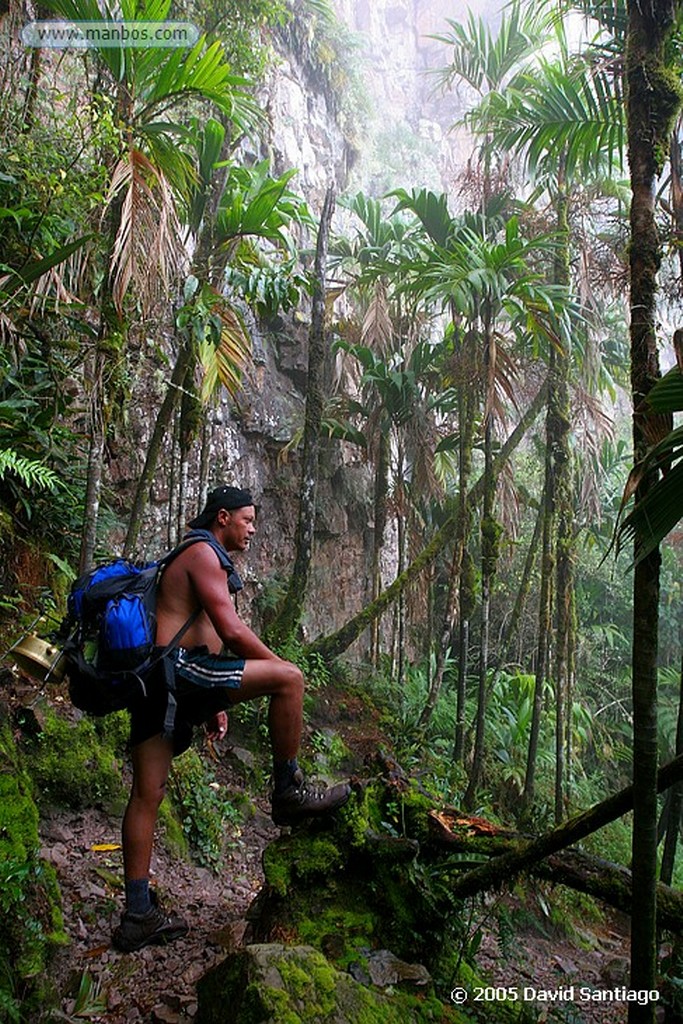 Parque Nacional Canaima
Subida al Roraima
Bolivar