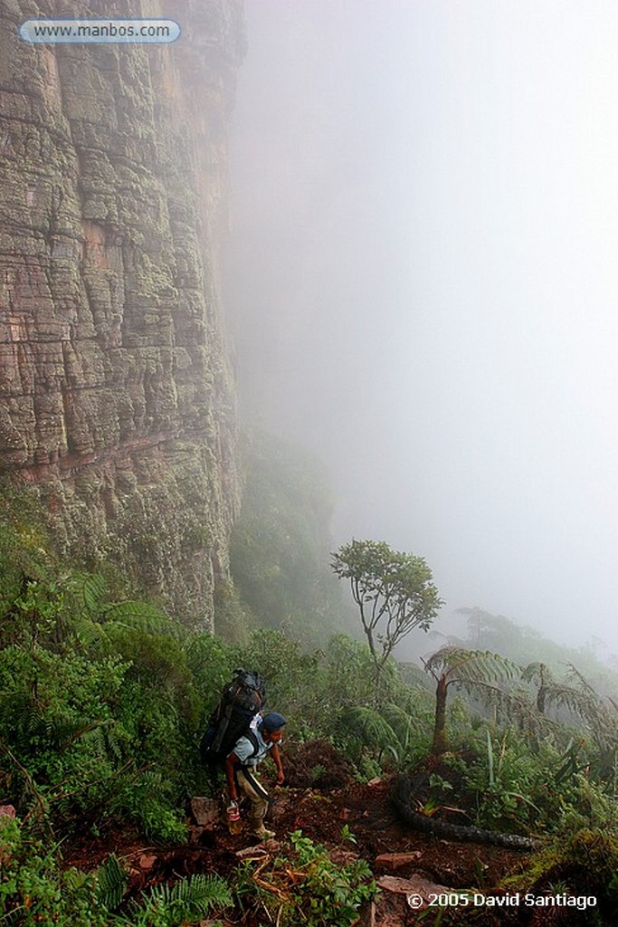 Parque Nacional Canaima
Subida al Roraima
Bolivar