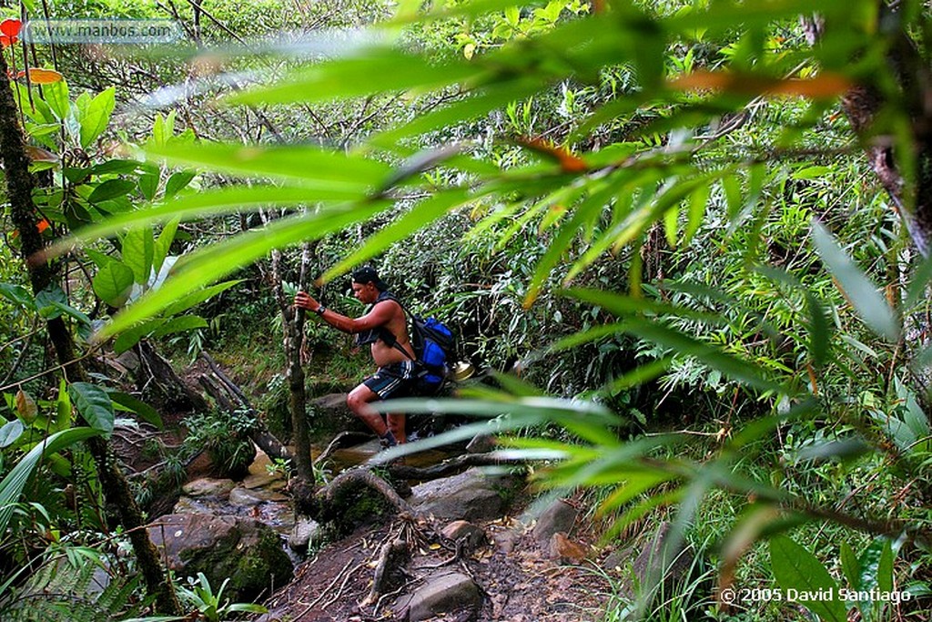 Parque Nacional Canaima
Subida al Roraima
Bolivar