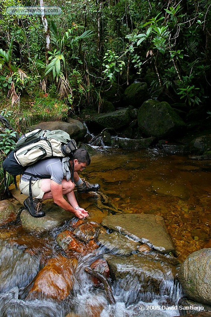 Parque Nacional Canaima
Campamento en la base del Roraima
Bolivar