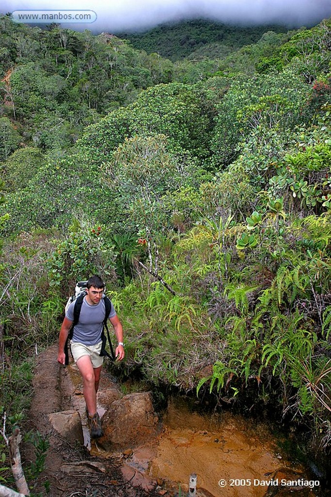 Parque Nacional Canaima
Subida al Roraima
Bolivar