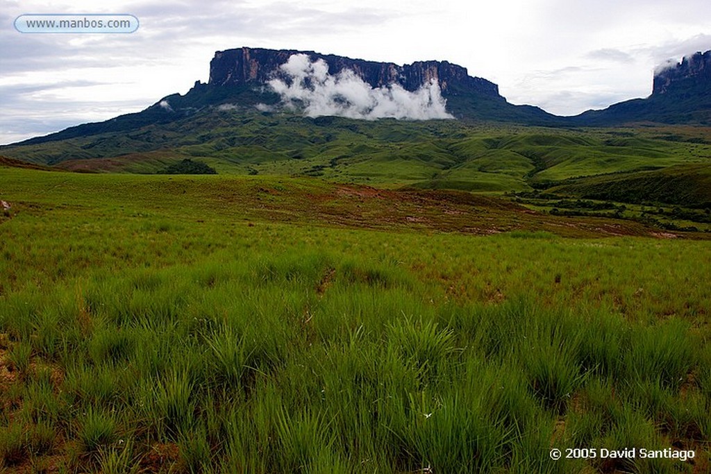 Parque Nacional Canaima
Iglesia de Kukenan
Bolivar