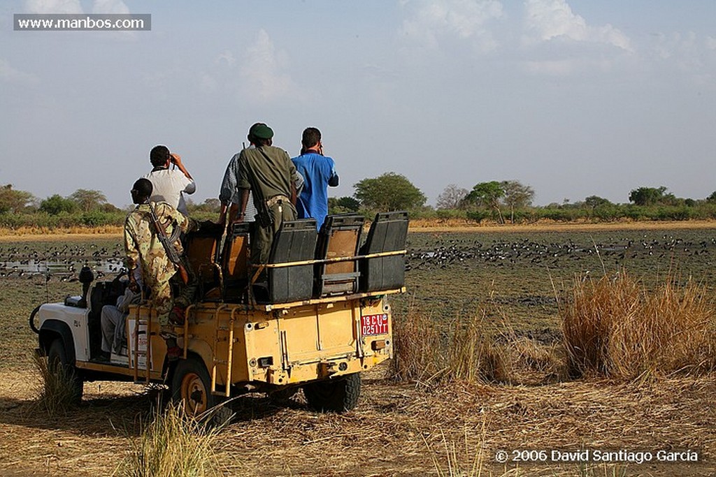 Parque Nacional de Zakouma
Tinga
Zakouma