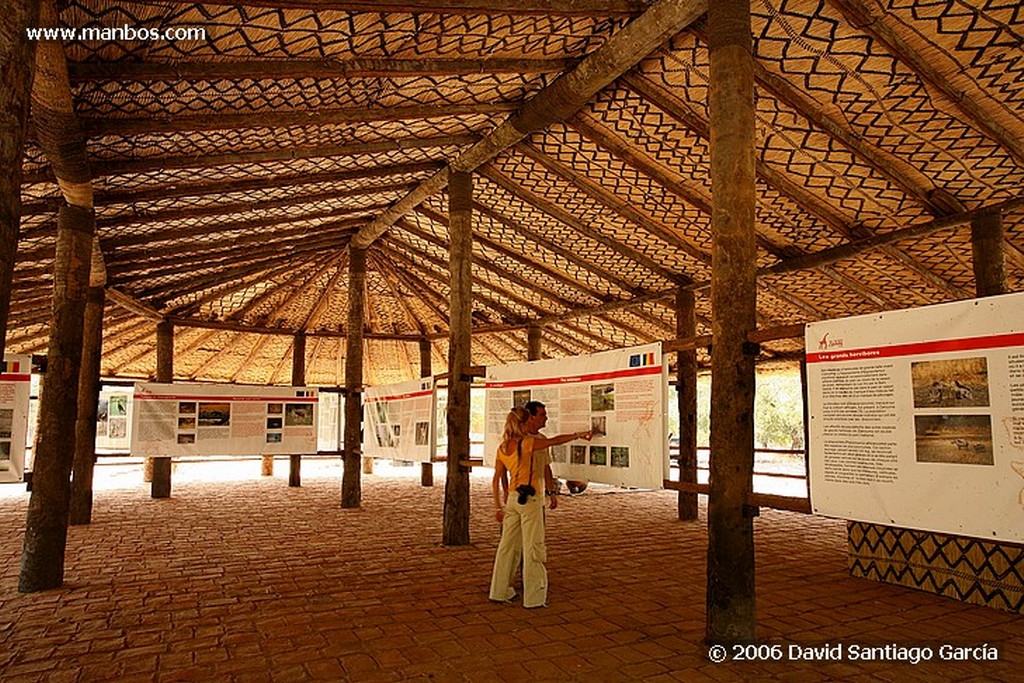 Parque Nacional de Zakouma
Zakouma
Zakouma