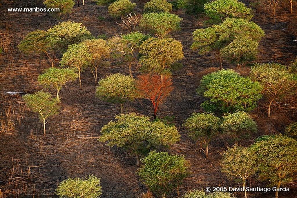 Parque Nacional de Zakouma
Nomadas
Zakouma