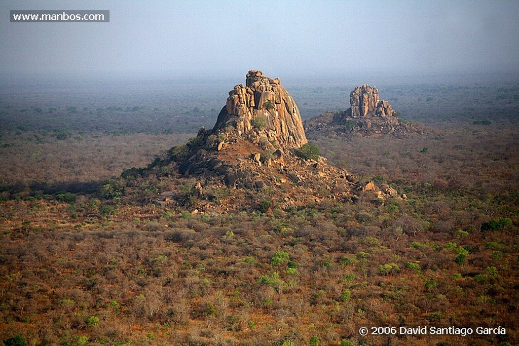 Parque Nacional de Zakouma
Milvus migrans
Zakouma