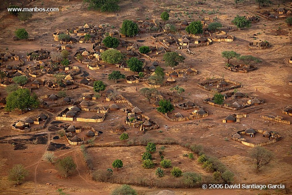 Parque Nacional de Zakouma
Ibir
Zakouma