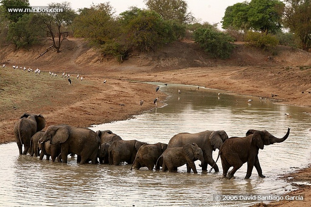 Parque Nacional de Zakouma
Nomadas
Zakouma