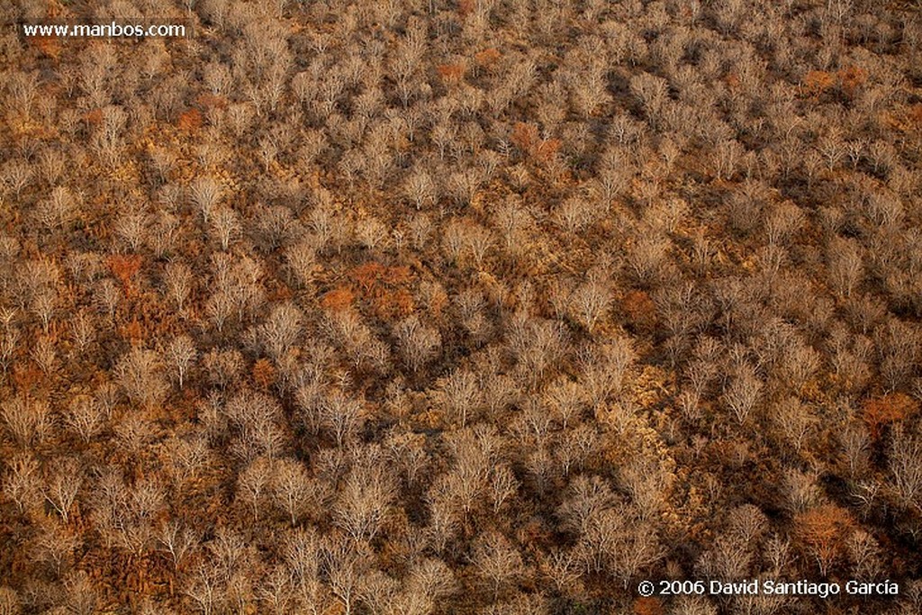 Parque Nacional de Zakouma
Nomadas
Zakouma