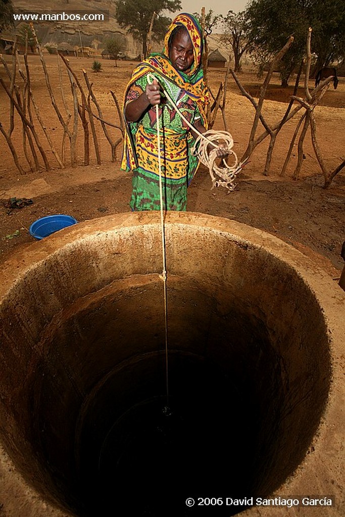 Parque Nacional de Zakouma
Craneo bufalo
Zakouma