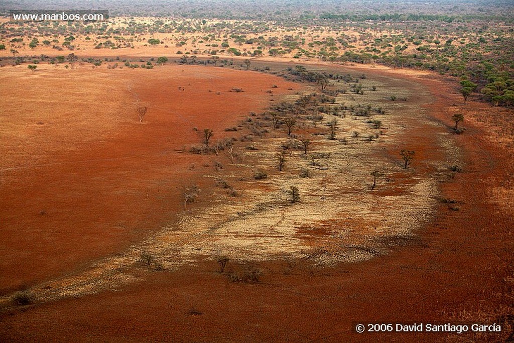 Parque Nacional de Zakouma
Bufalos
Zakouma