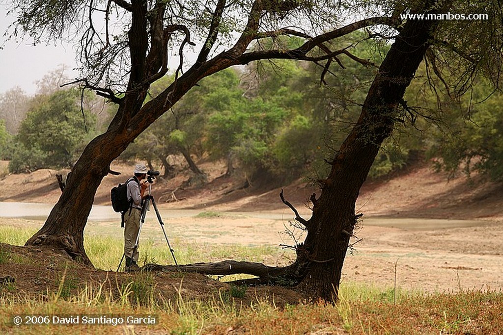 Parque Nacional de Zakouma
Zakouma
Zakouma