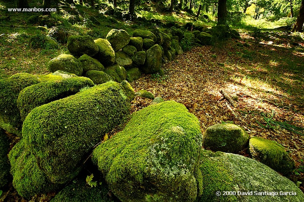 Parque Natural Baixa Limia
Ourense