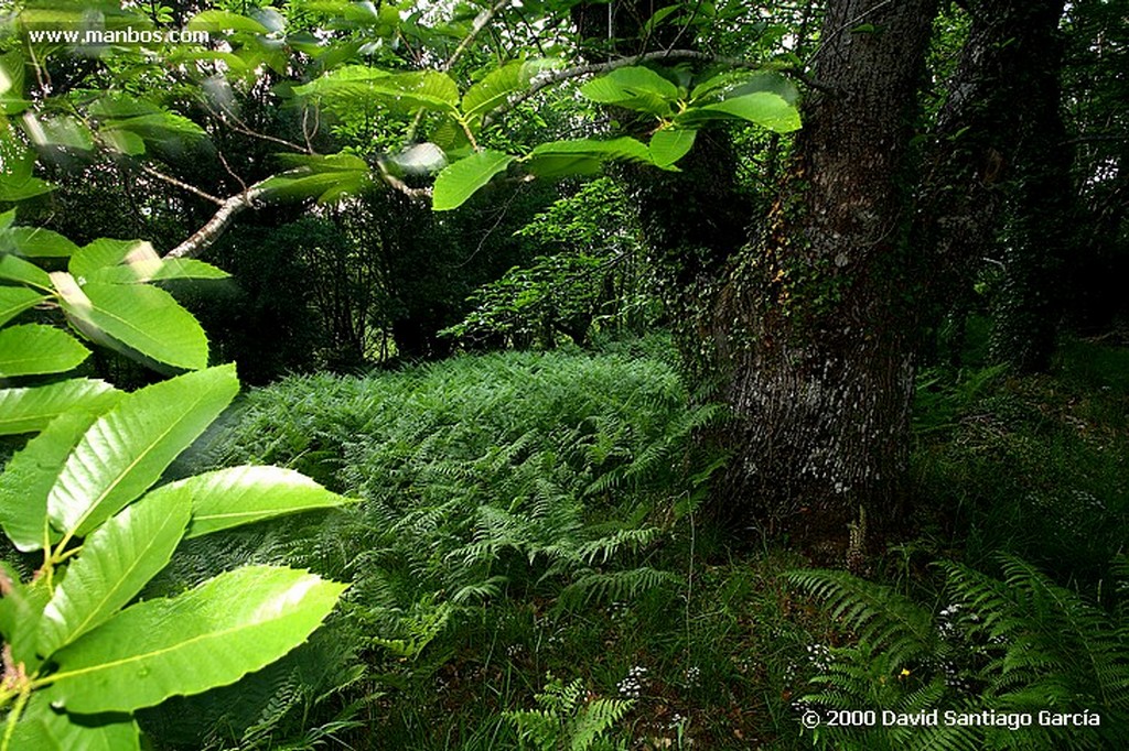 Parque Natural Baixa Limia
Ourense