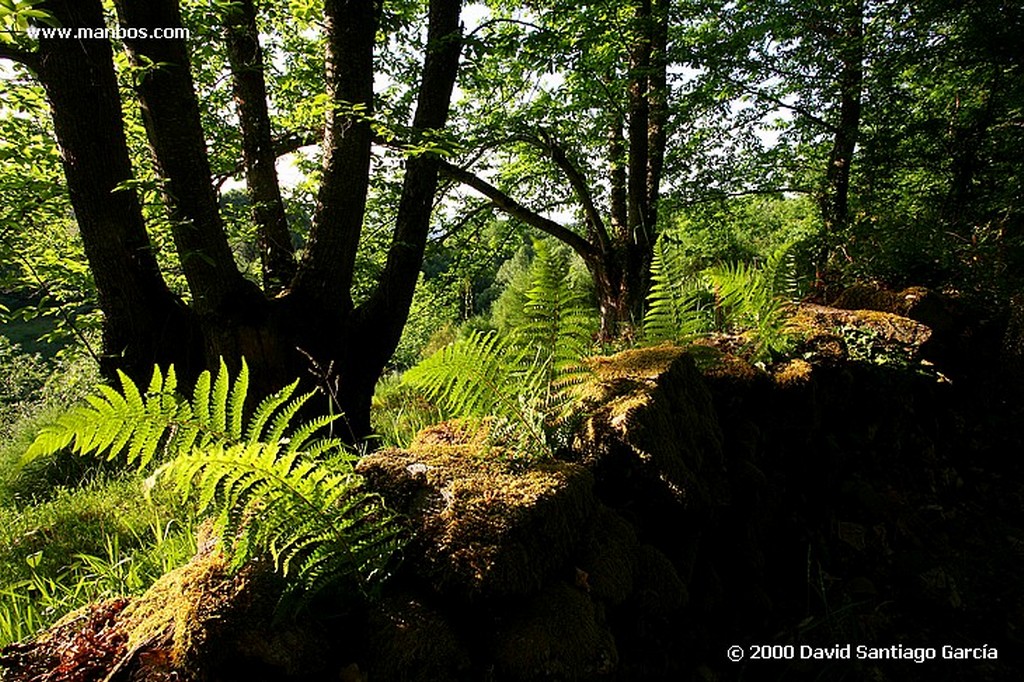 Parque Natural Baixa Limia
Ourense