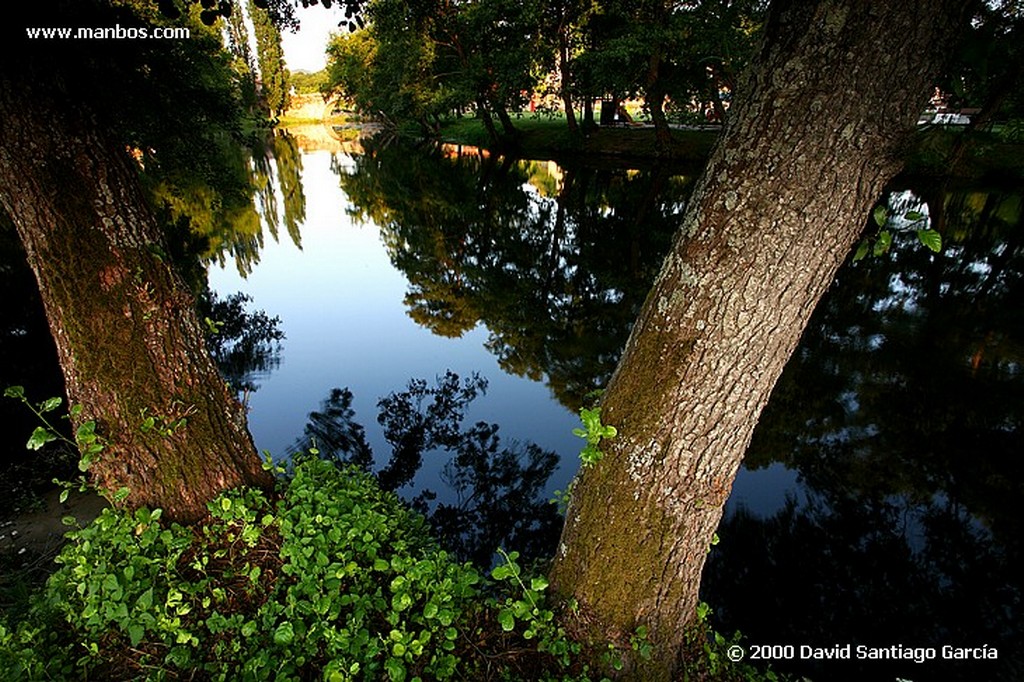 Parque Natural Baixa Limia
Ourense