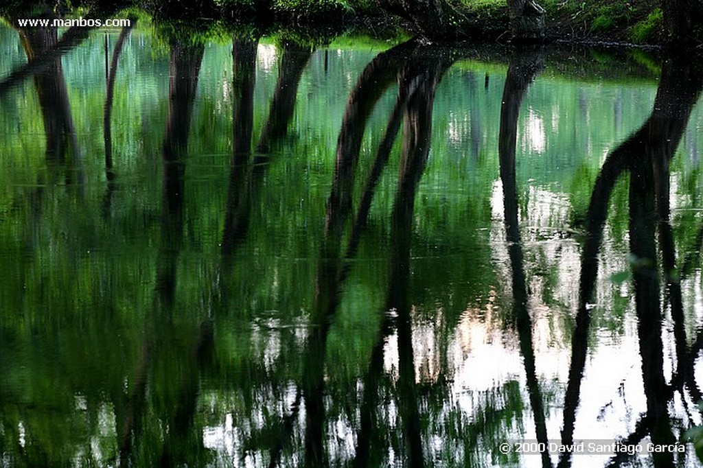 Parque Natural Baixa Limia
Ourense