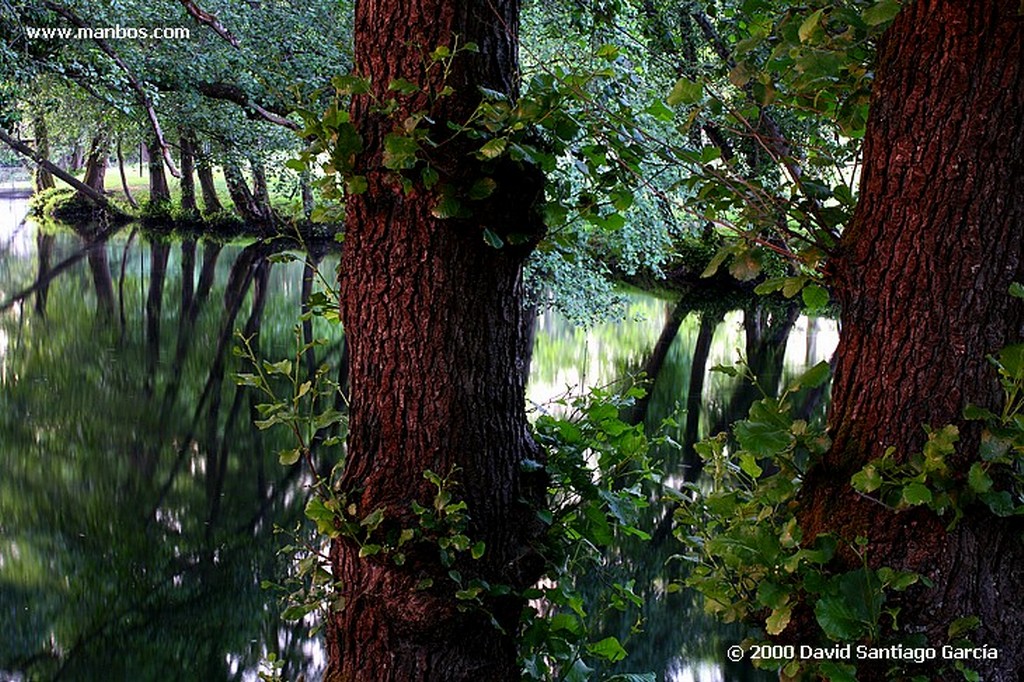 Parque Natural Baixa Limia
Ourense