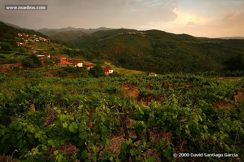 Parque Natural Baixa Limia
Ourense