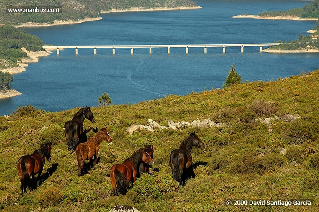 Parque Natural Baixa Limia
Ourense
