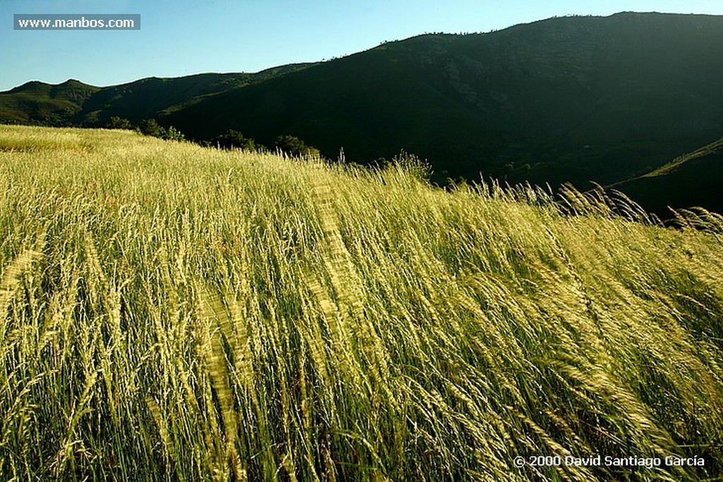 Parque Natural Baixa Limia
Ourense