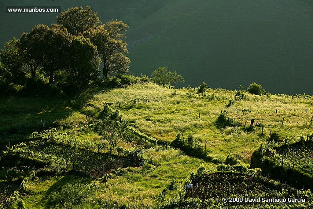 Parque Natural Baixa Limia
Ourense