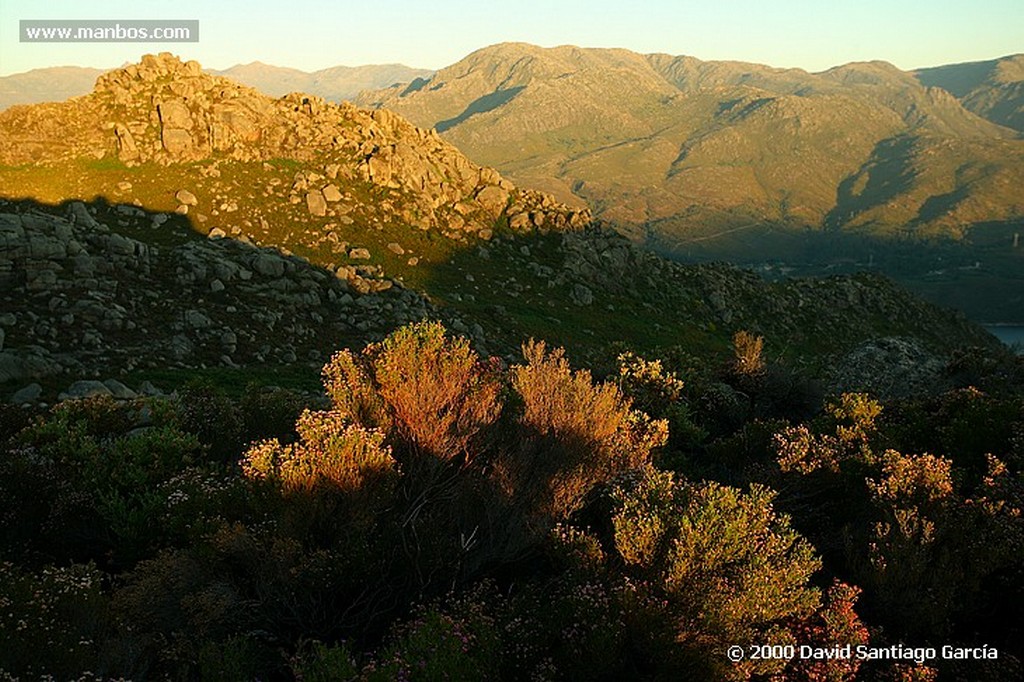 Parque Natural Baixa Limia
Rana
Ourense