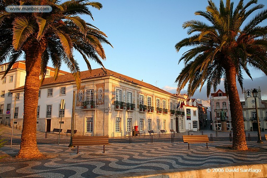 Lisboa
PONTA ALTA
Estremadura