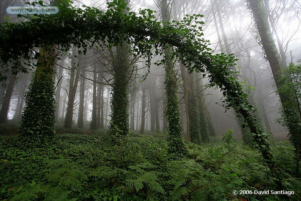 Sintra
PARQUE NATURAL SERRA DE SINTRA
Estremadura