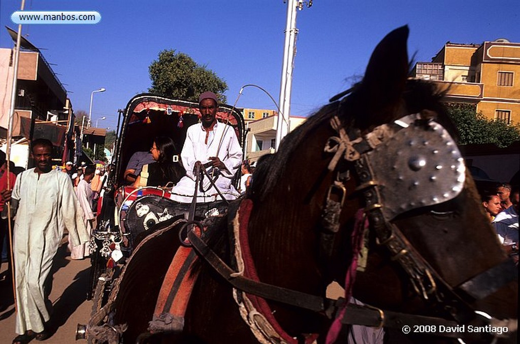 Cairo
Calesas-Edfu
Cairo