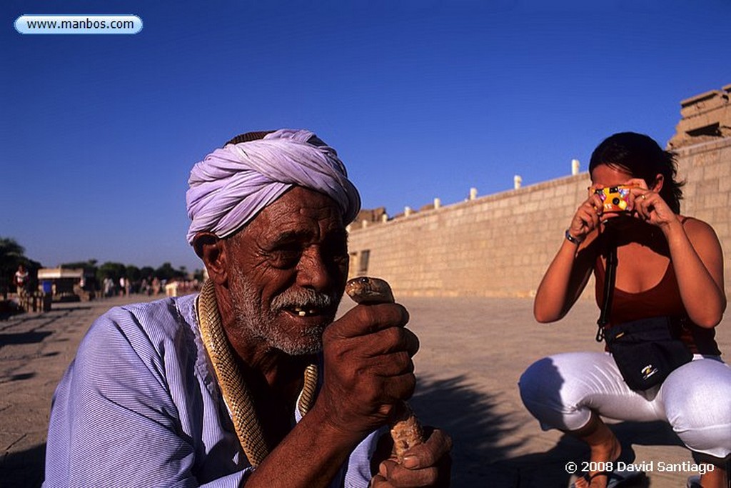 Kom Ombo
Encantador de cobras en Kom Ombo
Egipto