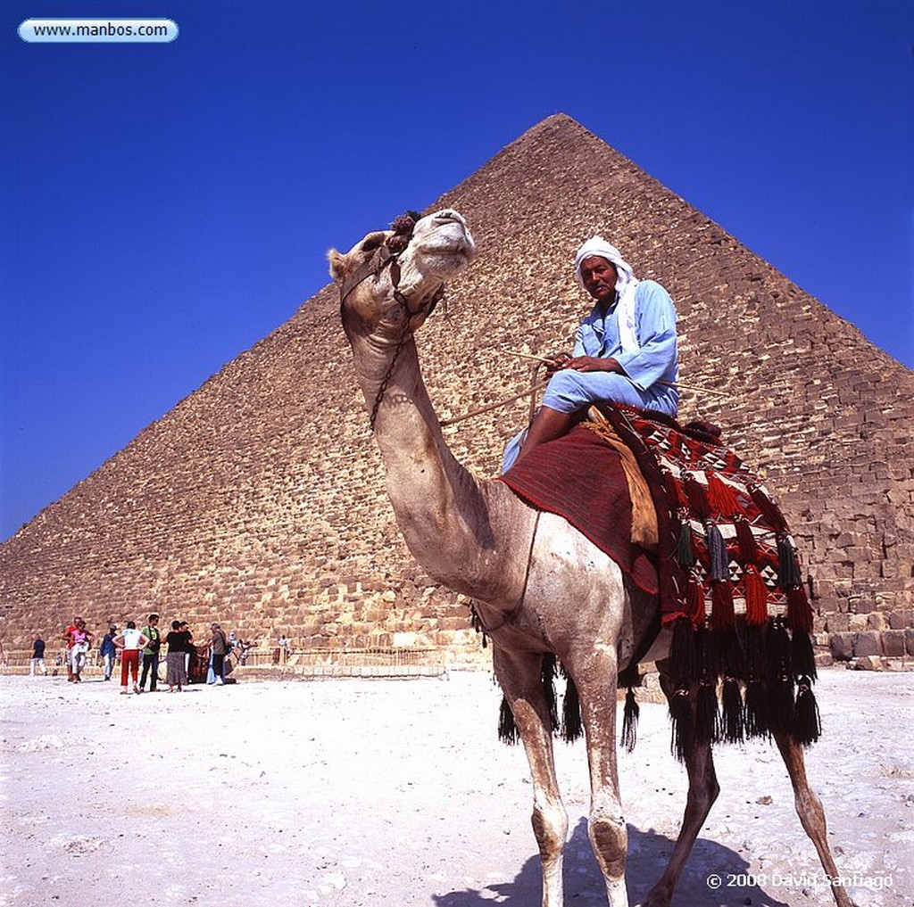 Giza
Piramide de Jufu o Gran Piramide-Meseta de Giza-Cairo
Cairo