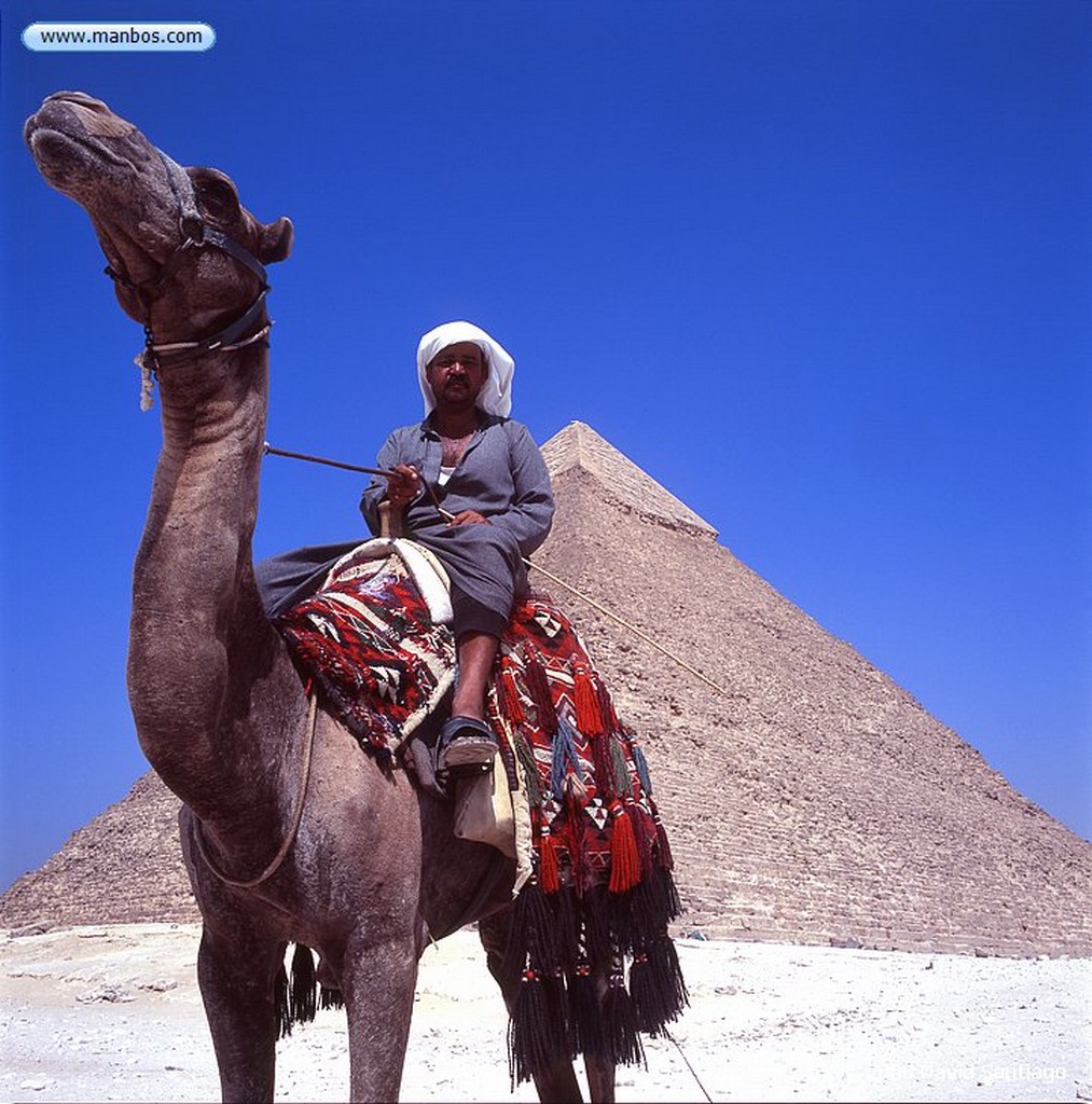 Giza
Piramide de Kefren o Jafre-Meseta de Giza-Cairo
Cairo