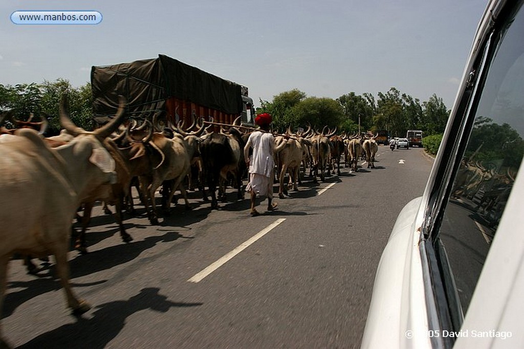 Agra
Camino a Agra
Agra