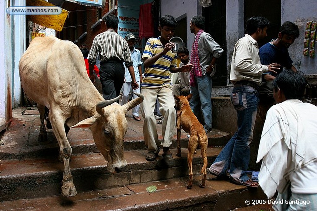 Varanasi
Varanasi
Varanasi