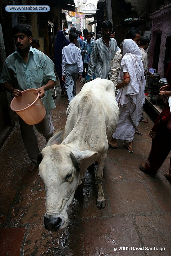 Varanasi
Varanasi
Varanasi