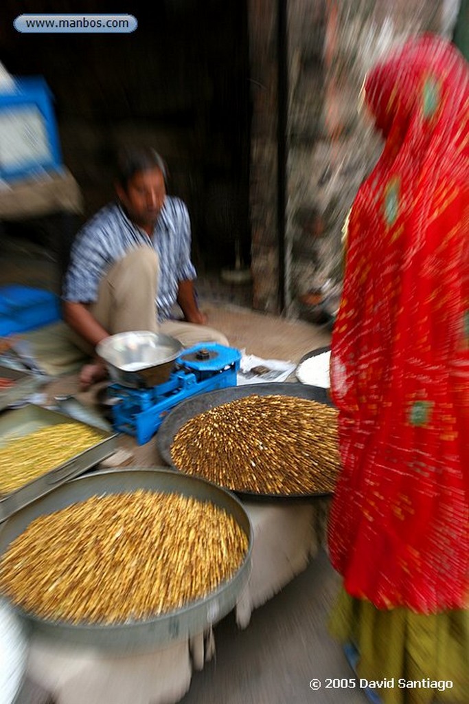 Jodhpur
Jodhpur
Jodhpur