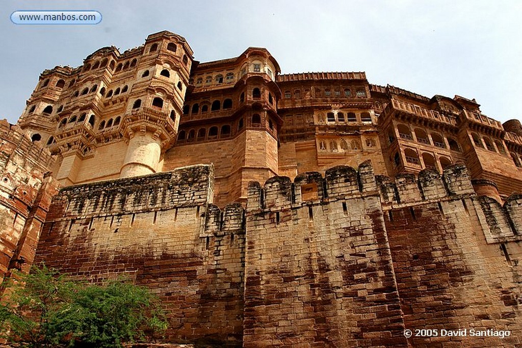 Jodhpur
Ciudadano de Jodhpur
Jodhpur