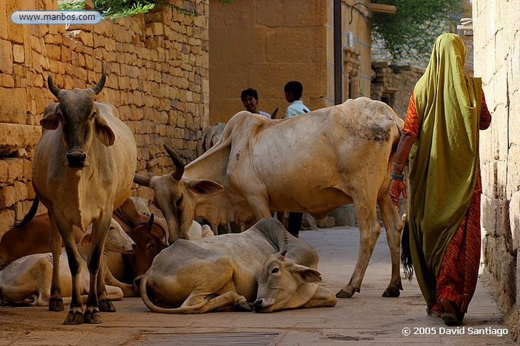 Khuri
Dunas de Khuri
Khuri