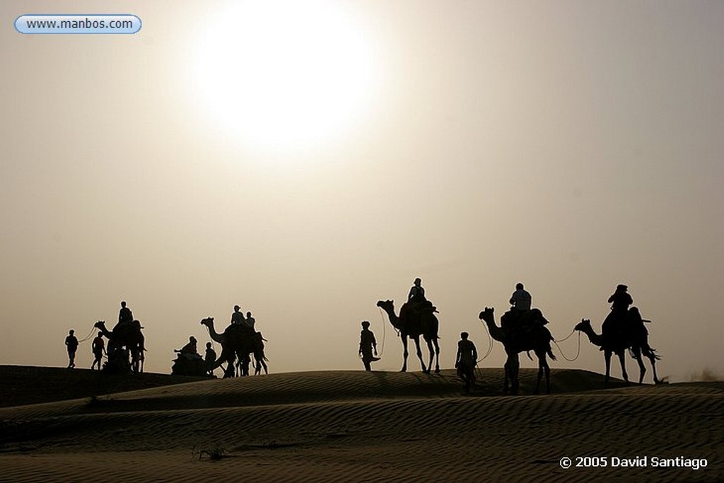 Jaisalmer
Jaisalmer
Jaisalmer