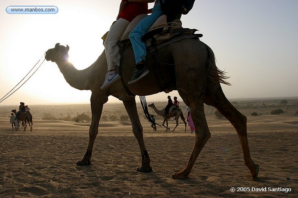 Khuri
Ginete de Camellos en Khuri
Khuri