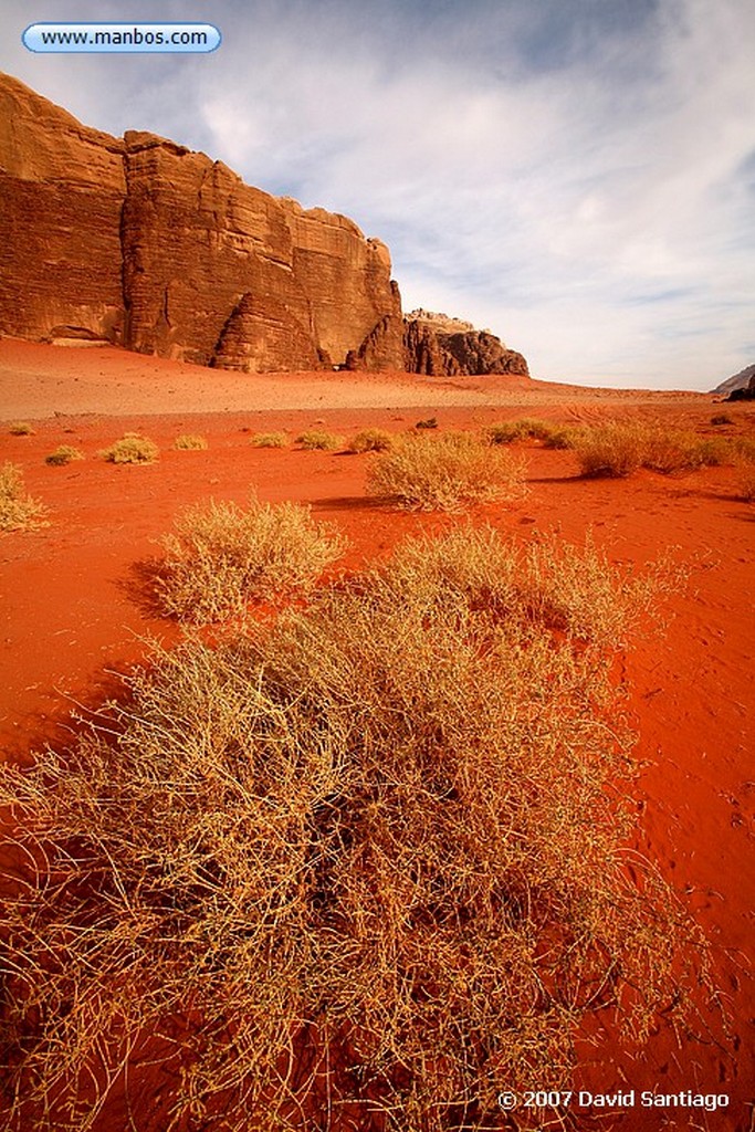 Desierto de Wadi Rum
Desierto de Wadi Rum Jordan
Desierto de Wadi Rum