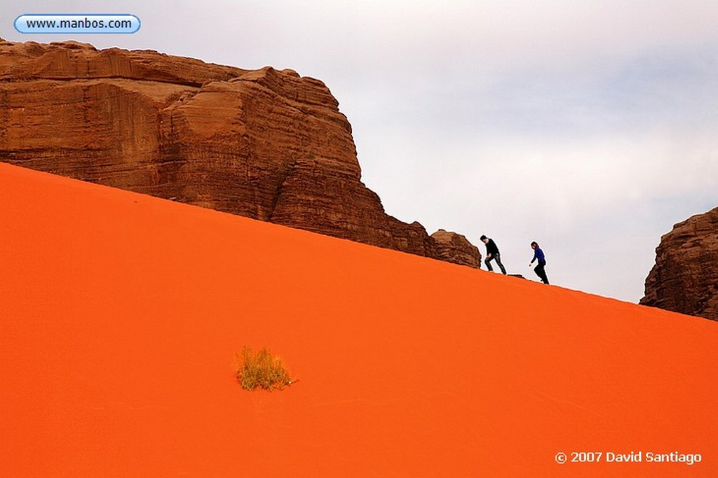 Desierto de Wadi Rum
Desierto de Wadi Rum Jordania
Desierto de Wadi Rum