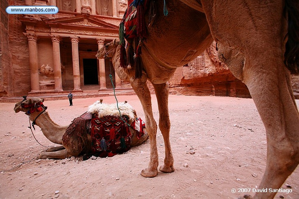 Petra
Petra El Tesoro Jordania
Petra