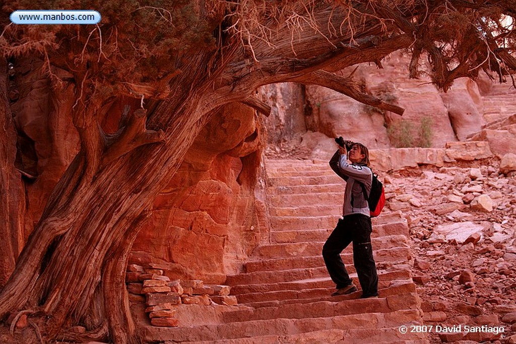 Petra
Petra El Monasterio Jordania
Petra