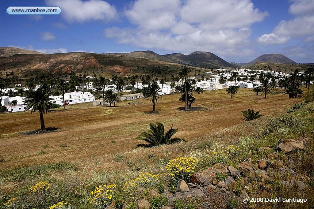 Lanzarote
Haria
Canarias