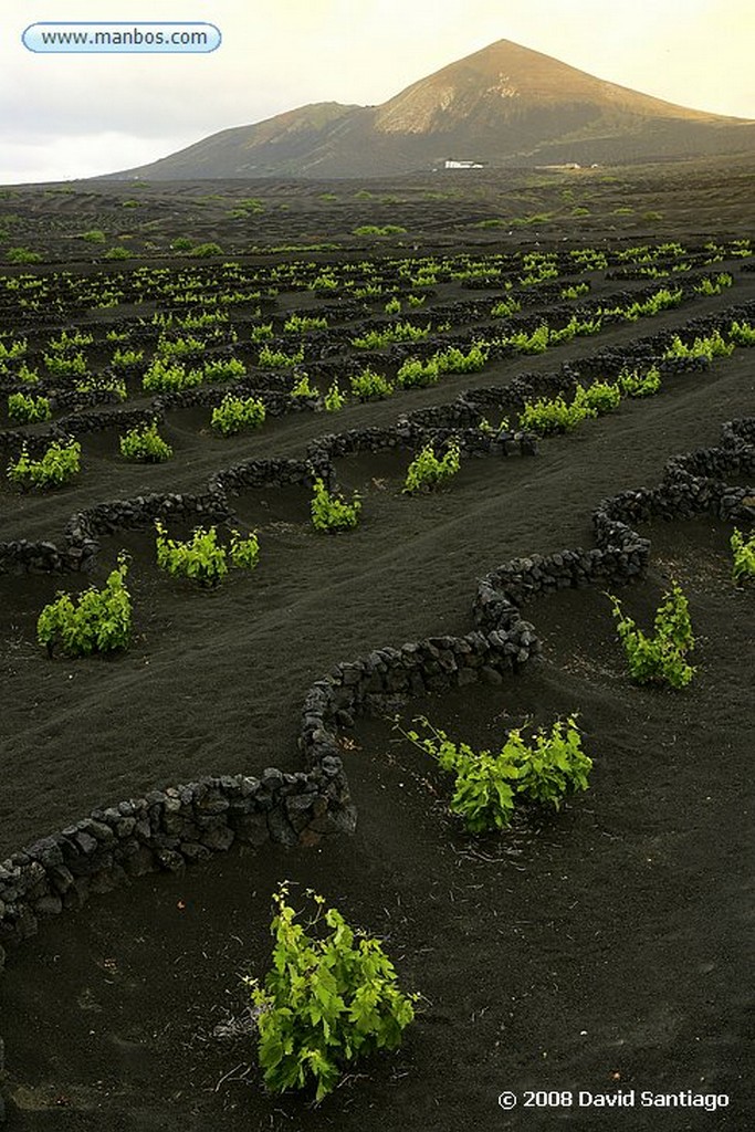 Lanzarote
La Geria
Canarias