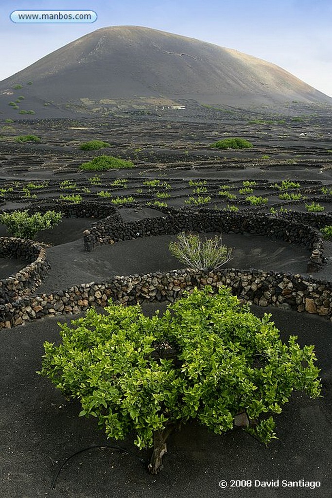 Lanzarote
La Geria
Canarias